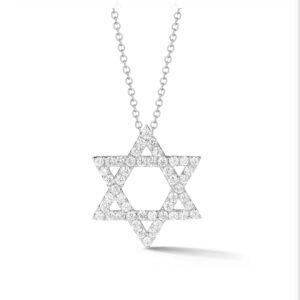 14K White Gold Star Of David Necklace